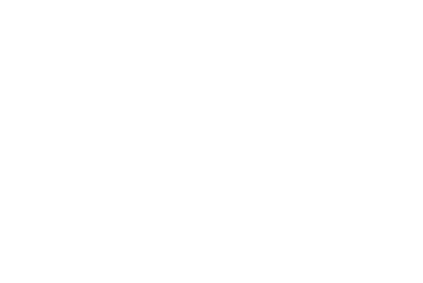 ISEF